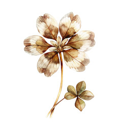 Obraz premium Clover flower watercolor isolated clipart