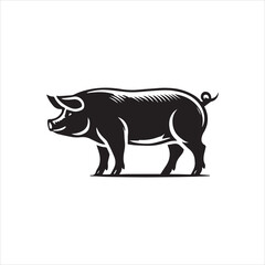 pig