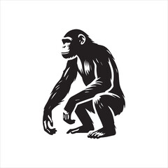 black and white silhouette of a Monkey