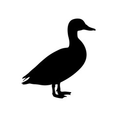 Mallard duck silhouette vector illustration design on white background.