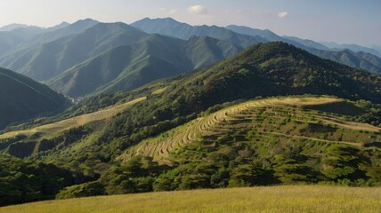 Obraz premium landscape around Shiga kougen platea, Japan