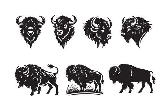Bison silhouette vector illustration with a white background
