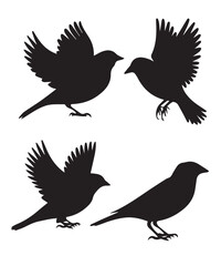 Bird Silhouettes Collection Different Sparrow Flying Positions