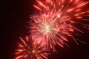 colorful celebrated fireworks bloom on dark sky in night