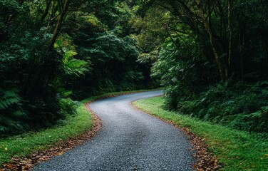 Obraz premium A winding, peaceful road meanders through a lush forest, surrounded by vibrant greenery and scattered autumn leaves, inviting exploration and tranquility in nature’s embrace.