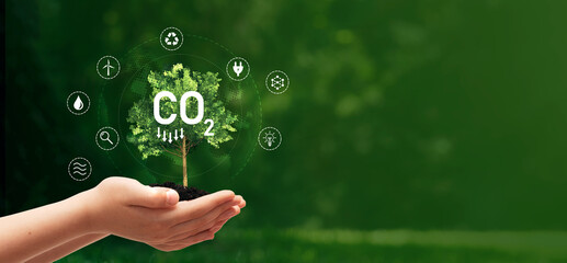 Carbon dioxide emission concept with tree in hands