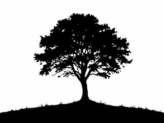 silhouette of a tree