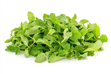 Obraz premium Fresh mint leaves isolated on white background
