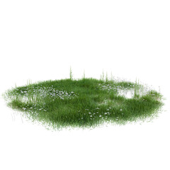 A lush expanse of grass stretches before us. The blades of grass vary in length and the background...