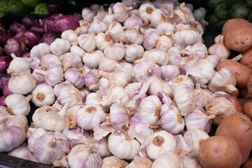 White Garlic - ニンニク	