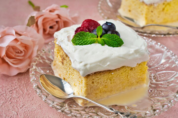 メキシコのスイーツ パステル・デ・トレス・レチェス(3種のミルクのケーキ)  Mexican sweets Pastel de Tres Leches( Mexican Tres Leches Cake,Tres Leches Cake,Three Milk Cake, 3 Milk Cake) 