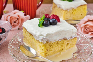メキシコのスイーツ パステル・デ・トレス・レチェス(3種のミルクのケーキ)  Mexican sweets Pastel de Tres Leches( Mexican Tres Leches Cake,Tres Leches Cake,Three Milk Cake, 3 Milk Cake) 
