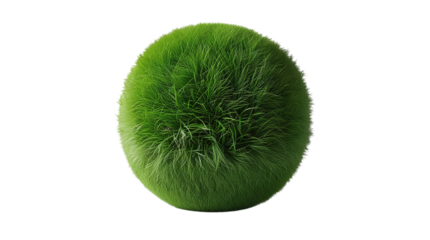grass ball (png)