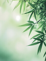 Obraz premium Light green bamboo leaves background