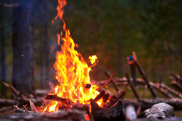 Captivating image of a vibrant bonfire, with flames dancing against the night sky