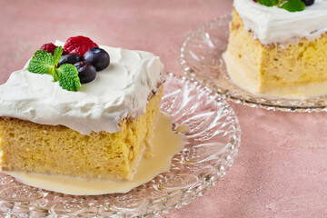メキシコのスイーツ パステル・デ・トレス・レチェス (3種のミルクのケーキ) コピースペースあり Mexican sweets Pastel de Tres Leches( Mexican Tres Leches Cake,Tres Leches Cake,Three Milk Cake, 3 Milk Cake) with copy space