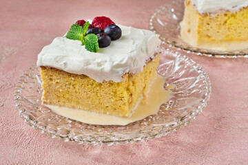 メキシコのスイーツ パステル・デ・トレス・レチェス (3種のミルクのケーキ) コピースペースあり Mexican sweets Pastel de Tres Leches( Mexican Tres Leches Cake,Tres Leches Cake,Three Milk Cake, 3 Milk Cake) with copy space