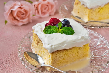 メキシコのスイーツ パステル・デ・トレス・レチェス (3種のミルクのケーキ) コピースペースあり Mexican sweets Pastel de Tres Leches( Mexican Tres Leches Cake,Tres Leches Cake,Three Milk Cake, 3 Milk Cake) with copy space