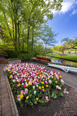 Obraz premium Keukenhof flower garden - largest tulip park in world, Lisse, Netherlands