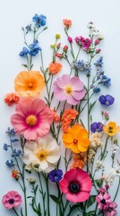 Fototapeta premium Colorful floral arrangement with various blooms on a white background in natural light
