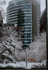winter in the modern urban center of bratislava