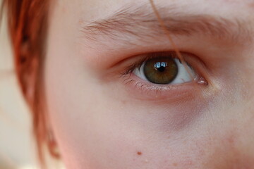 close up of eye. eye of a young woman european. brown eye. tea color eye
