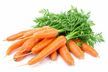 Fresh organic carrots with green tops