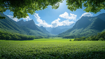 Obraz premium Verdant highland fields framed by dramatic mountain ridges under a pristine blue sky