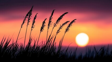 Fresh dew clinging to blades of grass at sunrise, the world awakening softly, patience, calm, mindfulness