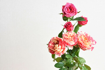 スプレー薔薇の花束