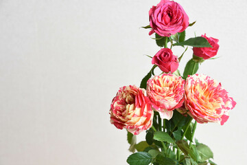 スプレー薔薇の花束