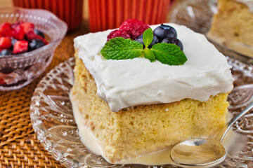 メキシコのスイーツ パステル・デ・トレス・レチェス(3種のミルクのケーキ) コピースペースあり Mexican sweets Pastel de Tres Leches( Mexican Tres Leches Cake,Tres Leches Cake,Three Milk Cake, 3 Milk Cake) with copy space