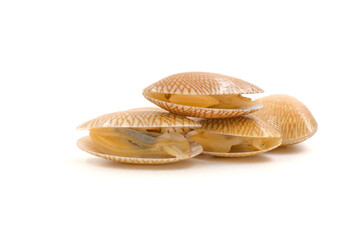 Closed up fresh baby clams, venus shell, shellfish, carpet clams,as raw food from the sea are the seafood ingredients. on white  Background.