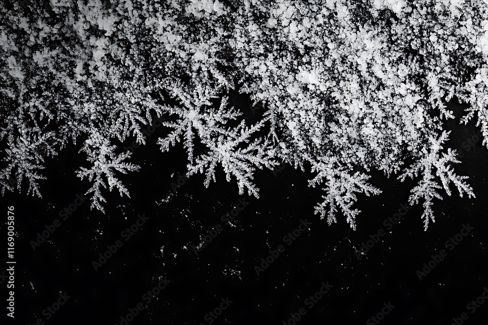 Poster delicate frost patterns on dark background.