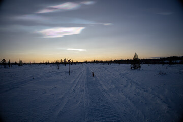 Polar stratospheric cloud, also known as nacreous clouds from nacre, or mother of pearl, due to its...