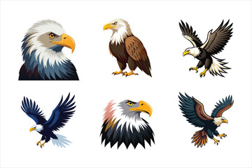 Bald eagle design, labeled vector art illustration.