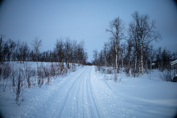 Obraz premium Winter wonderland in Swedish Lapland. Winter landscape from Kiruna, Luossuvaara area.