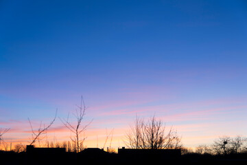 Fototapeta premium Sunrise. Silhouette of city buildings and bare tree branches at sunset with vibrant gradient sky. Landscape photography.
