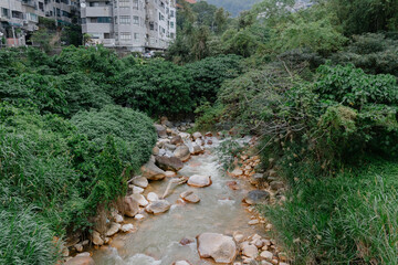 stream in the park