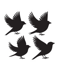 Flying Sparrow Silhouettes Set in Clean Sharp Styles