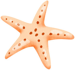 Hand drawn cute starfish for summer.