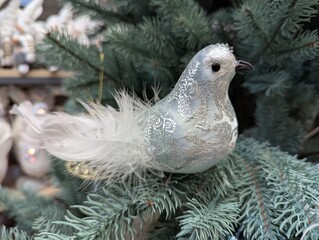white dove on the branch