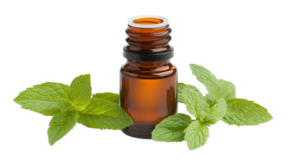 Spice up your life, aromatic chili pepper oil infused with fresh mint leaves fresh