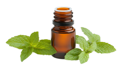 Spice up your life, aromatic chili pepper oil infused with fresh mint leaves fresh
