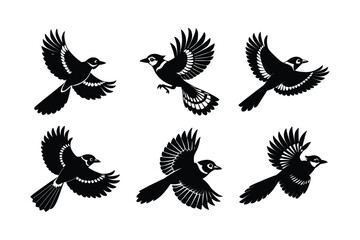 Obraz premium blue jay silhouette vector illustration