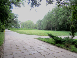 green alley with stone path, green lawn