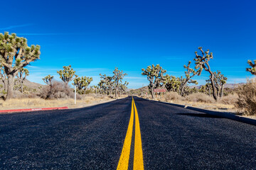 Straight empty road in Mojave National Preserve , California , USA