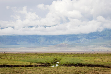 Fototapeta premium Scenic view of Ngorongoro Conservation Area during rainy season in november in Tanzania, East Africa