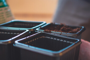 A close up of soil in small containers for planting sprouts while gardening