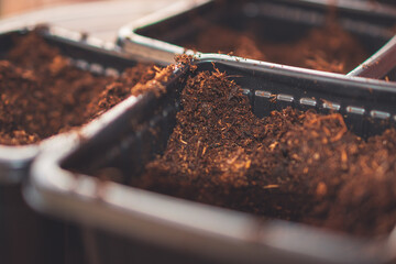 A close up of soil in small containers for planting sprouts while gardening